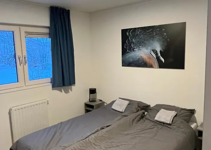 Luxe Op De Veluwe Aan Het Water! * 欧特罗